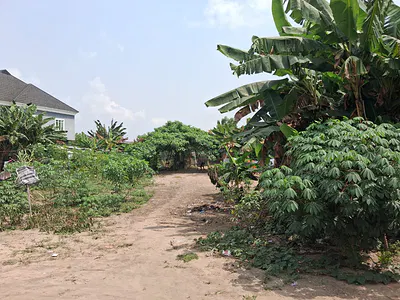 Bare Land Measuring 1, 157SQM