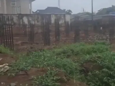 Massive Dry Land