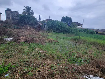 A Prime and Dry Land Inside a Secured Estate