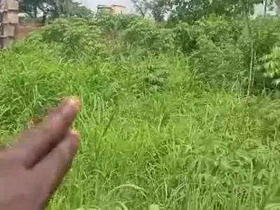2 Plots of Land for Sale in Serene Location — Opposite Upper Room Ministry, Ugwuomu Nike, Emene, Enugu East Lga, Enu, Enugu, Enugu