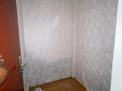 Sharp Lovely Spacious Mini Flat