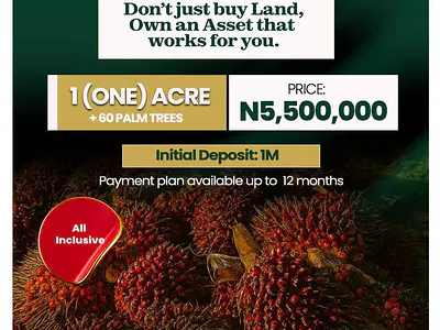 Oil Palm Farm with a Good Wealth Creation Plan
