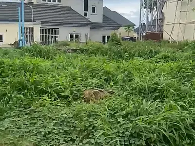 DPC Semi Detached Duplex Plot — River Park Estate, Lugbe District, Abuja