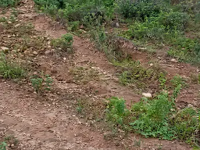 Land — Guzape District, Abuja