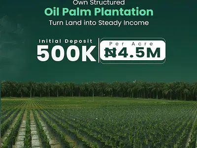Land for Oil Palm Plantation — Odeda Ogun State, Odeda, Ogun