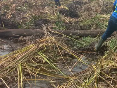 Dry Land and Water View — Ajah, Lagos