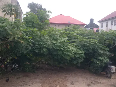 Massive Land — Ajah, Lagos