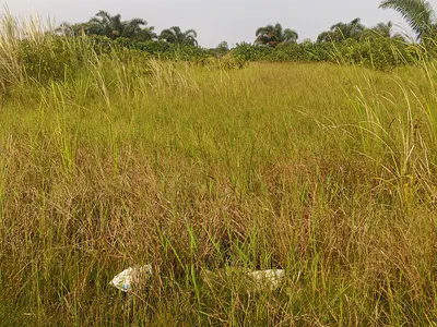 648 SQM Land — Shalom Park Estate, Abijo, Lekki, Lagos