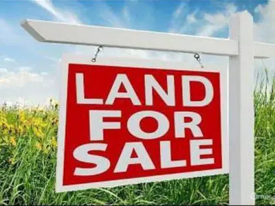 Dry Exquisite 5 Hecters of Land for Sale — Ajah, Lagos