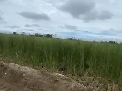 2 Hectare Land Suitable for Mass Housing Estate — Skyview Scheme, Sangotedo, Ajah, Lagos