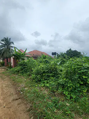 Fantastic Plot of Dry Land — Behind Tropicana International Hotel, Uyo, Akwa Ibom