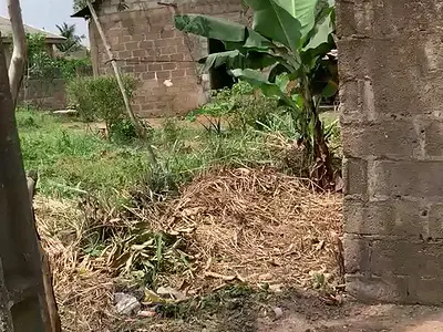 Compact Quarter Plot of Land with Receipt — Ikola Road, Alagbado, Ifako-Ijaiye, Lagos