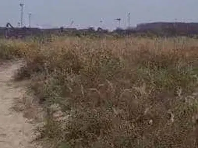 5 Acres Fully Sand-Filled Waterfront Land — Tin Can, Apapa, Lagos