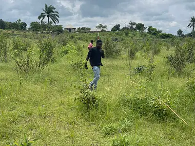 An Acre of Land — Ijaiye, Moniya, Ibadan, Oyo