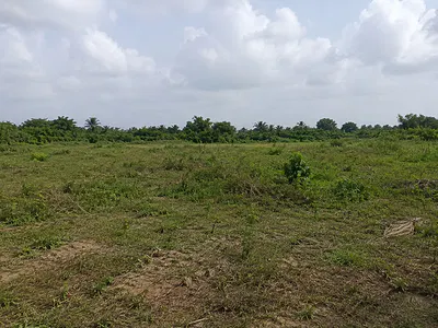 800SQM Land — Asokoro District, Abuja
