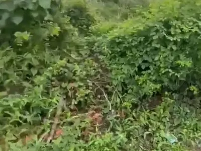 Land Measuring 420SQM [video Available on Request] — Eden Gatden Estate by Abraham Adesanya Gate, Ajah, Lagos