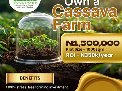 Cassava Farm Land — Ibadan, Oyo