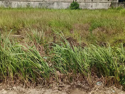 1008SQM of Land in an Exclusive Estate — Pinnock Beach Estate, Osapa, Lekki, Lagos