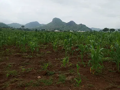 Promo Sales — Dei-Dei, Abuja