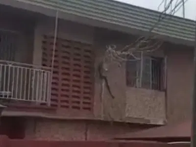 Block of 4 Flats — Off Pedro Road, Charlie Boy Axis, Gbagada, Lagos