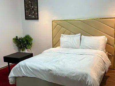 Fully Furnished 1bedroom and Parlor (Mini-Flat) with 24HRS Power — Lekki, Lagos
