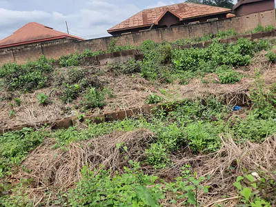 An Acre of Bareland — Along Lagos Ibadan Expressway British Tobacco Area, Challenge, Ibadan, Oyo