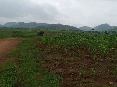 Promo Estate Plot — Dei-Dei, Abuja