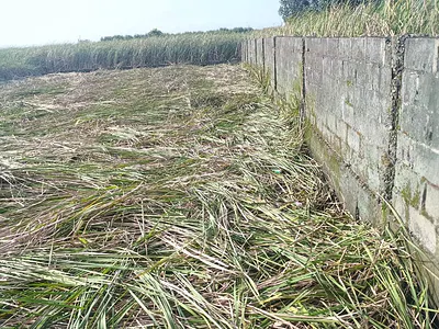 Distress 669SQM Land — Ajah, Lagos