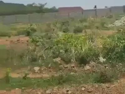 5000 SQM of Land — Asokoro District, Abuja