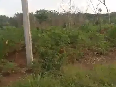 Power of Attorney and Survey — Nneheoche Community, Owerri West, Imo