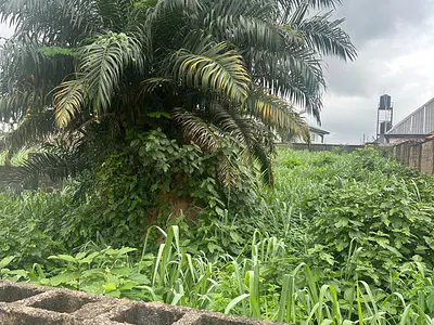 Half Plot of Dry Table Land — Journalist Estate Phase 2, Berger, Arepo, Ogun