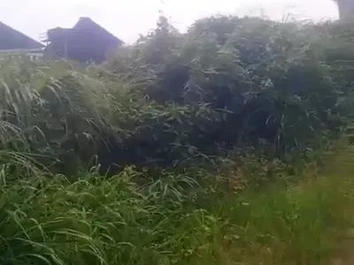 Land Measuring 300 Square Meter — Adiva Estate Inside Beechwood, Imalete Alafia, Ibeju Lekki, Lagos