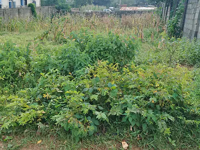 Spacious Land — Apo, Abuja