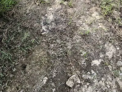 Prime Land — KM 27 Coastal Road, Abijo, Lekki, Lagos