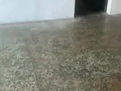 Spacious &:decent 3 Bedroom Apartment (Upstairs) — Olusosun, Oregun, Ikeja, Lagos