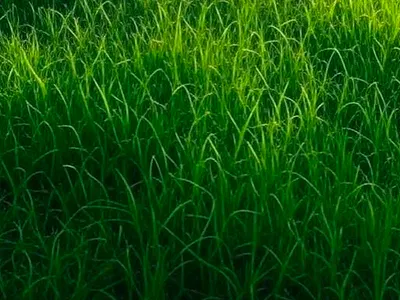 6692SQM of Commercial Plot — VGC, Lekki, Lagos