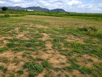 111.32 Hectares Mixed Use (Comprehensive Development) — Guzape District, Abuja