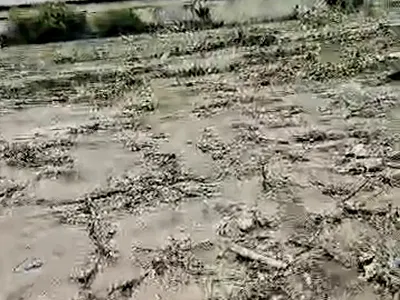 Land Measuring 5, 000SQM — Lateef Jakande, Agidingbi, Ikeja, Lagos