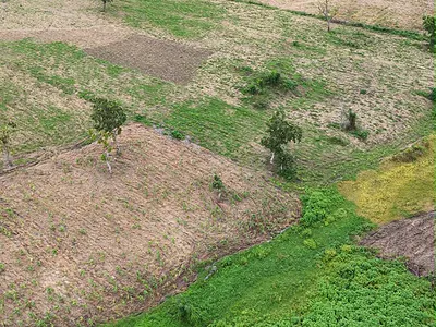Plots of Farmland — Abeokuta South, Ogun