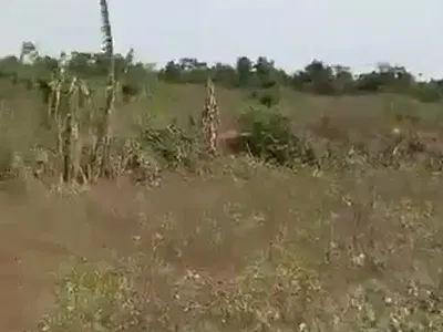 20 Acres of Land — Ibadan, Oyo