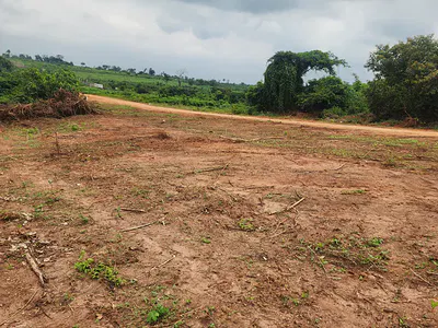 Profitable Residential Estate with Registered Survey in Your Name — Same Road with the N5BN Lagos New Nysc Camp Almost Completed, Agbowa, Ikorodu, Lagos