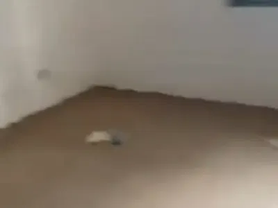 Newly Built Mini Flat — Fadeyi, Waec Side, Yaba, Lagos