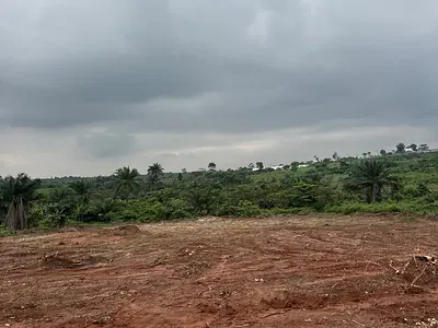 Own a Genuine Dry Land in a Prime Location — Agbowa, Ikorodu, Lagos