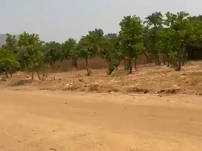 Well Located, Dry and Firm 265 SQM Estate Land — Green Land Estate, Karsana North, Karsana, Abuja