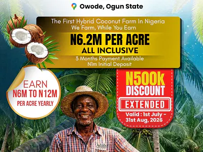 Coconut Farm — Owede, Sango Ota, Ogun