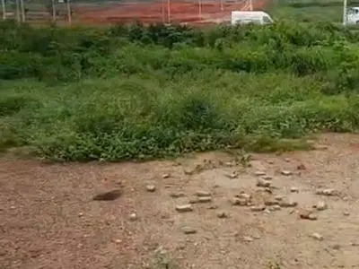 12½ Acres of Land, Fenced, Directly on the Expressway — Asese, Ibafo, Ogun