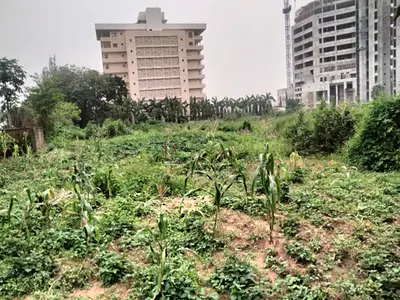 A Plot of Land Measuring 1.2ha — Central Business District, Abuja