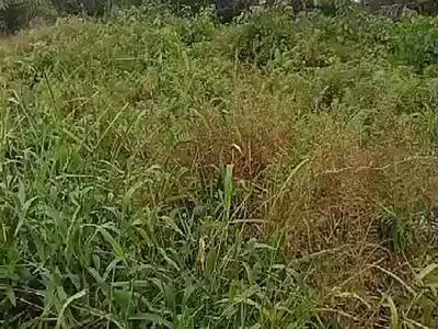 Full Plot of Land — Ibeju Lekki, Lagos