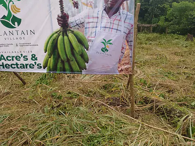 1 Acre of Land Suitable for Farming — Obafemi Owode, Ogun