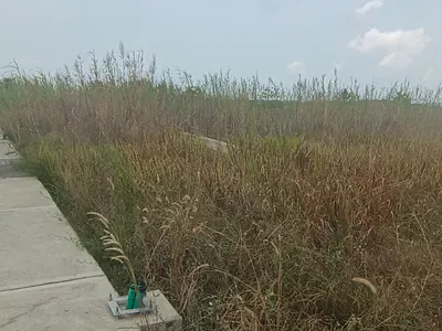 825SQM Land Available — Carlton Gate Estate, Off Chevron Drive, Lekki, Lagos